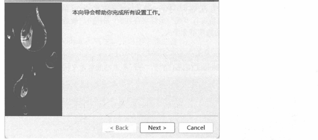 图 13-38自定义向导的图标