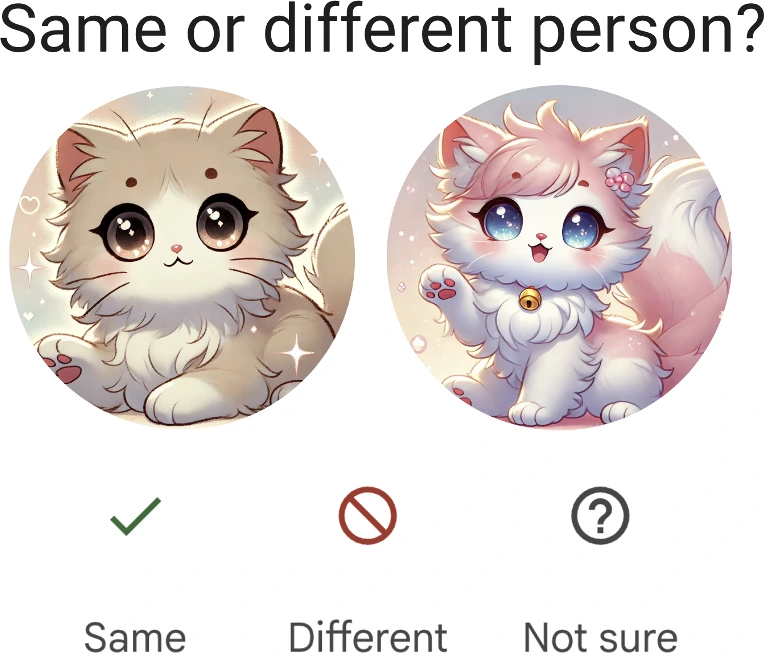 Google Photos不确定时询问用户