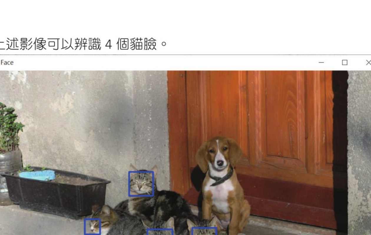习题三 猫脸辨识示例