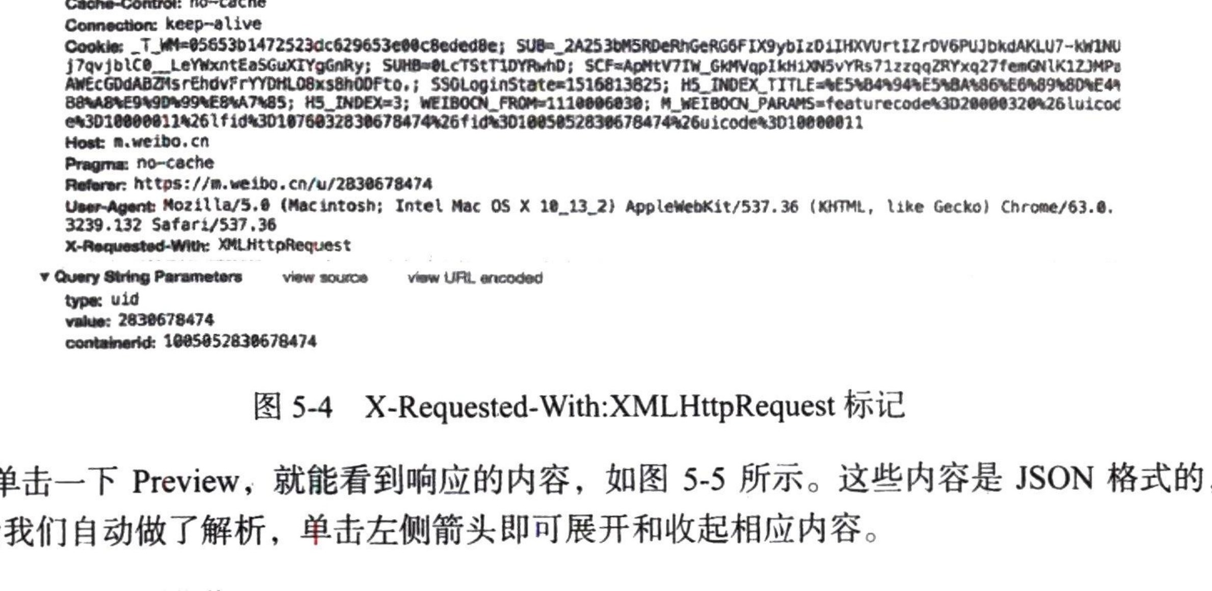 图5-4 X-Requested-With:XMLHttpRequest 标记