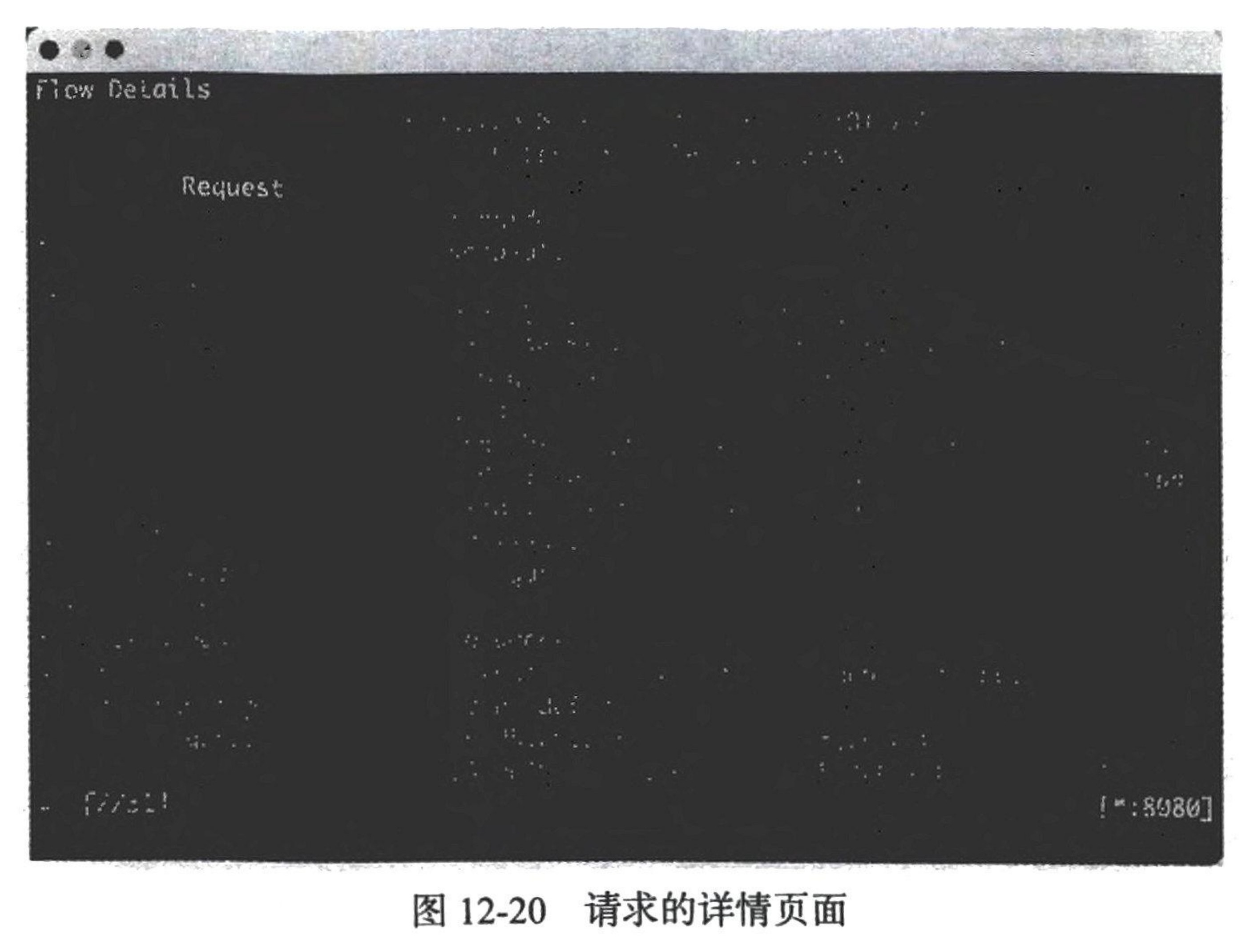 图12-20 请求的详情页面