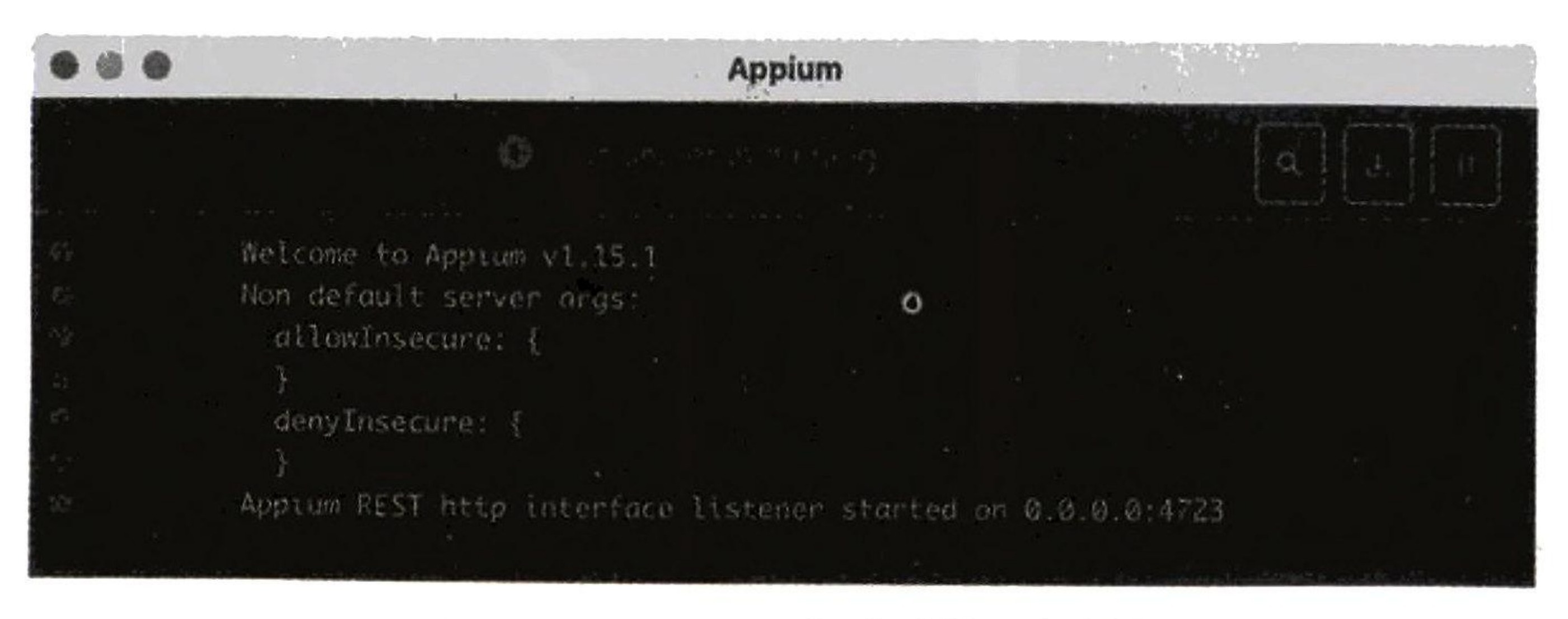 图12-43 Appium 启动后的运行界面