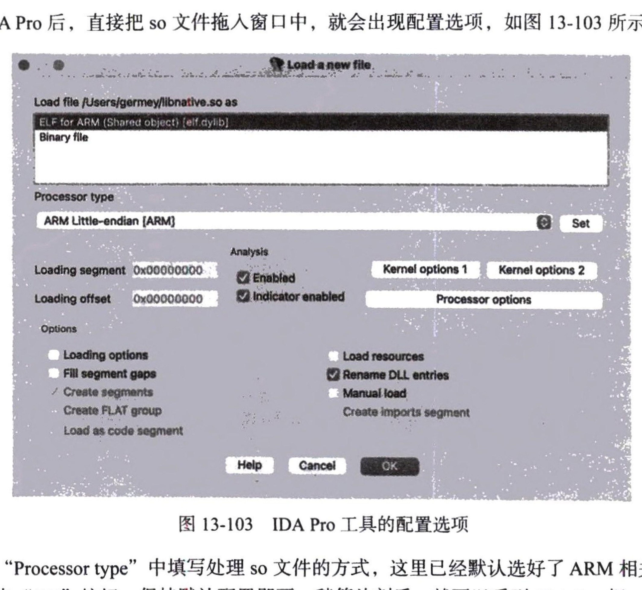 图13-103 IDA Pro 工具的配置选项
