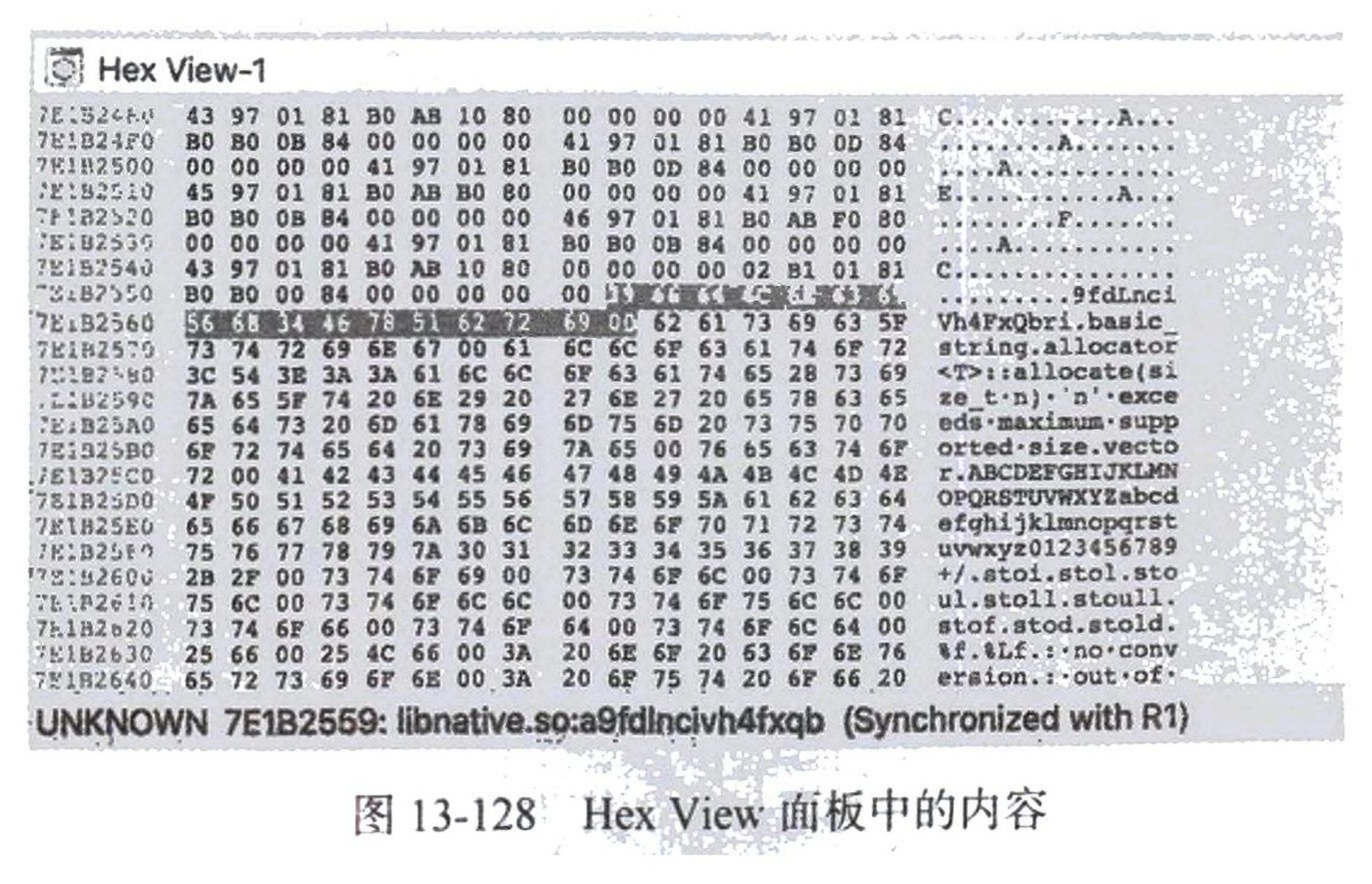 图13-128 Hex View 面板中的内容